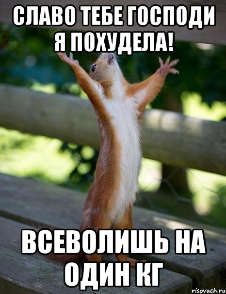 Славо тебе господи я похудела! Всеволишь на один кг, Мем    белка молится