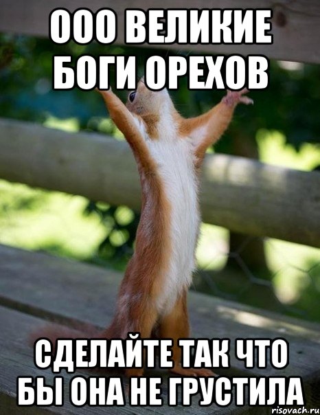 Ооо великие боги орехов сделайте так что бы она не грустила, Мем    белка молится