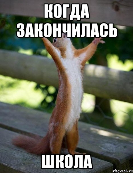 Когда закончилась Школа, Мем    белка молится