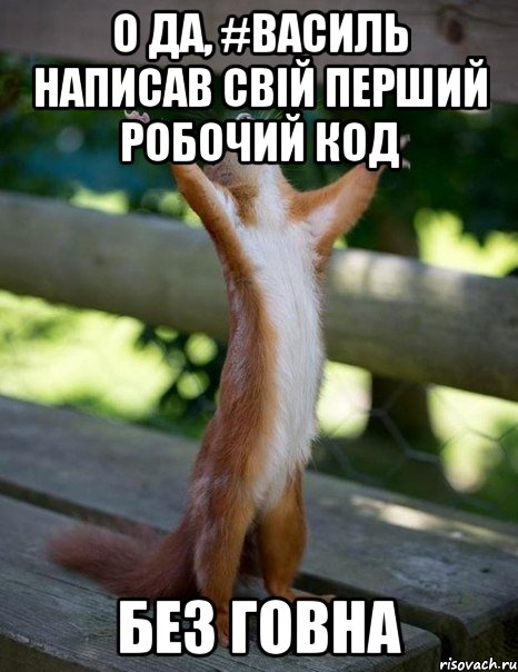 о да, #василь написав свій перший робочий код без говна, Мем    белка молится