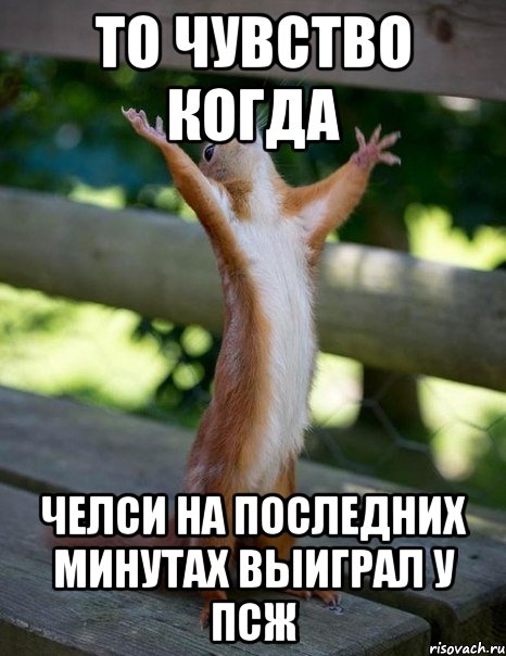 то чувство когда челси на последних минутах выиграл у ПСЖ, Мем    белка молится