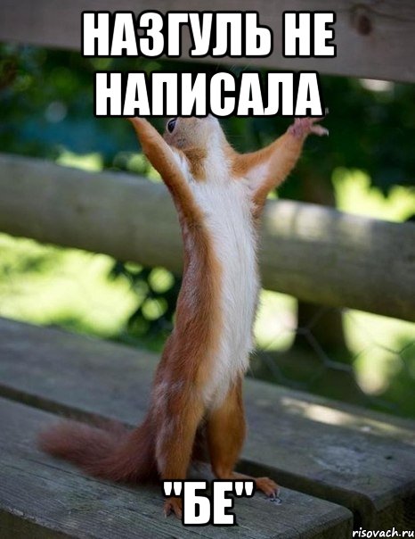 Назгуль не написала "бе", Мем    белка молится