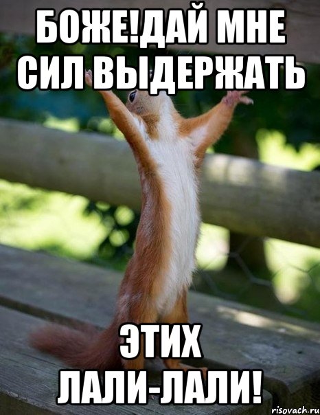 Боже!Дай мне сил выдержать этих лали-лали!, Мем    белка молится