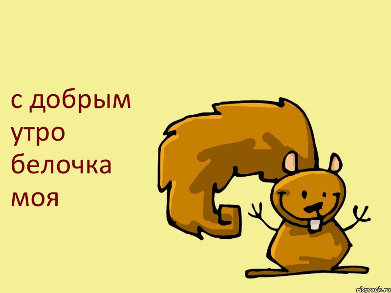 с добрым утро белочка моя, Комикс  белка