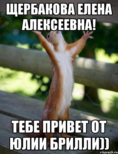 Щербакова Елена Алексеевна! Тебе привет от Юлии Брилли)), Мем    белка молится