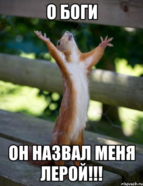 О боги Он назвал меня Лерой!!!, Мем    белка молится