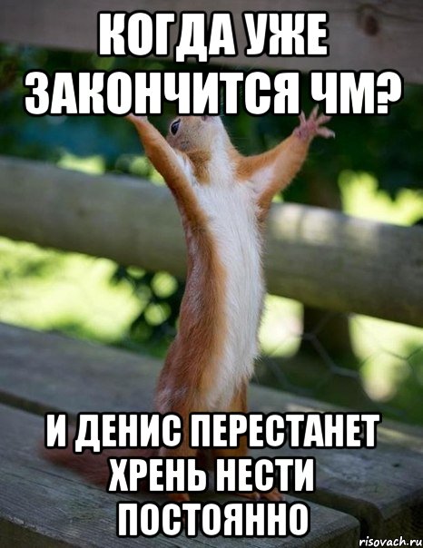 Когда уже закончится чм? И Денис перестанет хрень нести постоянно, Мем    белка молится