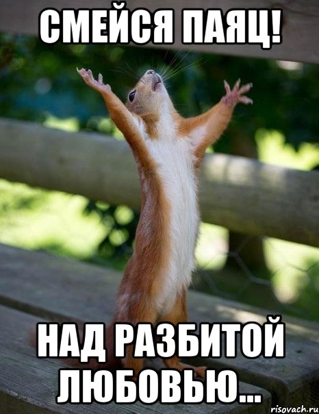 Смейся Паяц! Над разбитой любовью..., Мем    белка молится