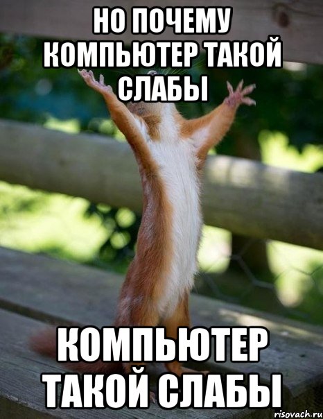 но почему компьютер такой слабы компьютер такой слабы, Мем    белка молится