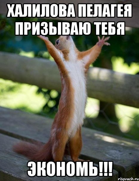ХАЛИЛОВА ПЕЛАГЕЯ ПРИЗЫВАЮ ТЕБЯ ЭКОНОМЬ!!!, Мем    белка молится