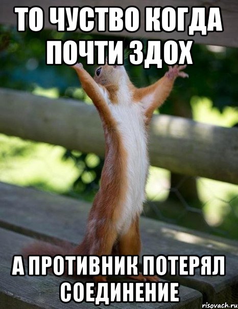 То чуство когда почти здох а противник потерял соединение, Мем    белка молится