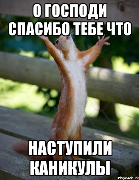 о господи спасибо тебе что НАСТУПИЛИ КАНИКУЛЫ, Мем    белка молится