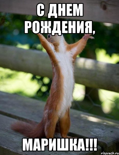 С днем рождения, Маришка!!!, Мем    белка молится