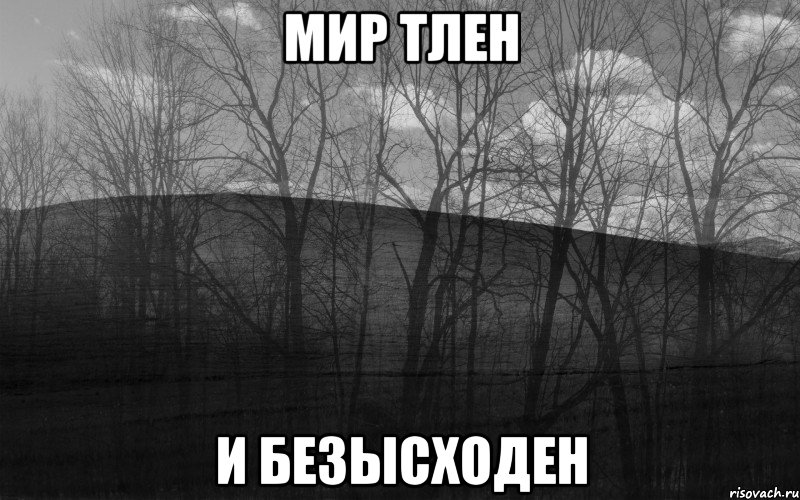 МИР ТЛЕН И БЕЗЫСХОДЕН, Мем безысходность лес