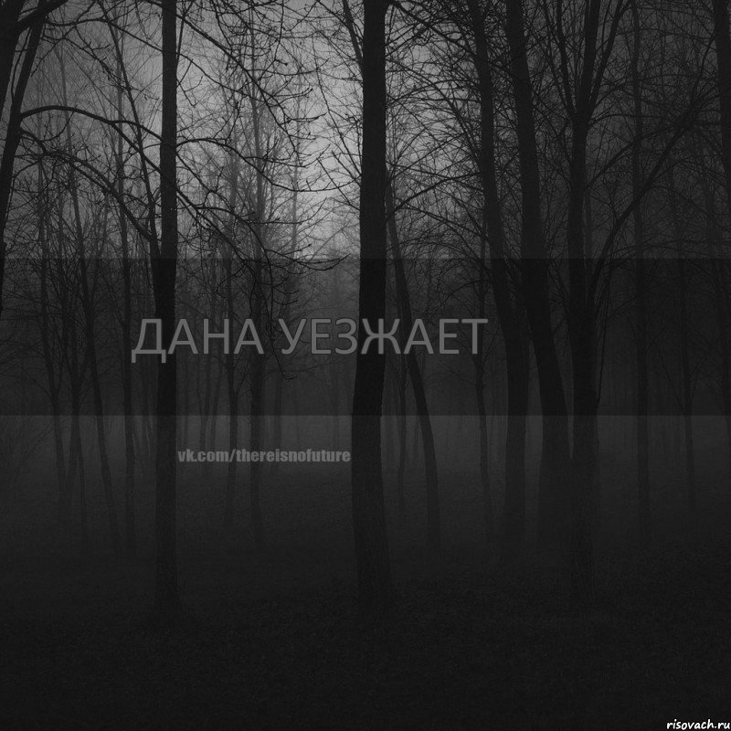 Дана уезжает