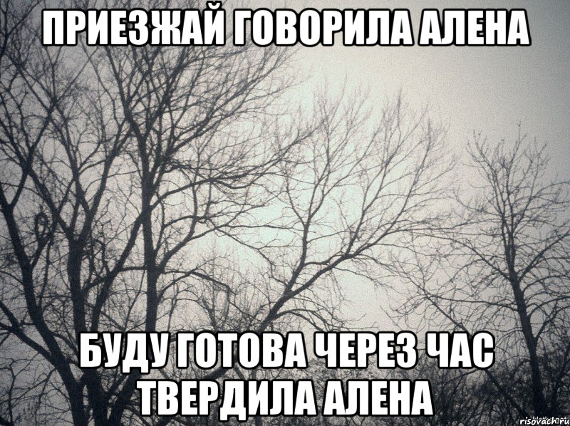 Приезжай говорила Алена буду готова через час твердила Алена, Мем  будет весело говорили они