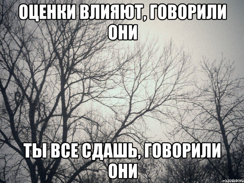 Оценки влияют, говорили они Ты все сдашь, говорили они, Мем  будет весело говорили они