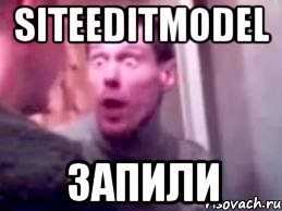 SiteEditModel ЗАПИЛИ, Мем   буйный славик