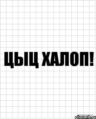 цыц халоп!, Комикс  бумага