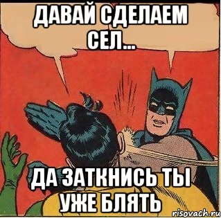 Давай сделаем сел... Да заткнись ты уже блять, Комикс   Бетмен и Робин