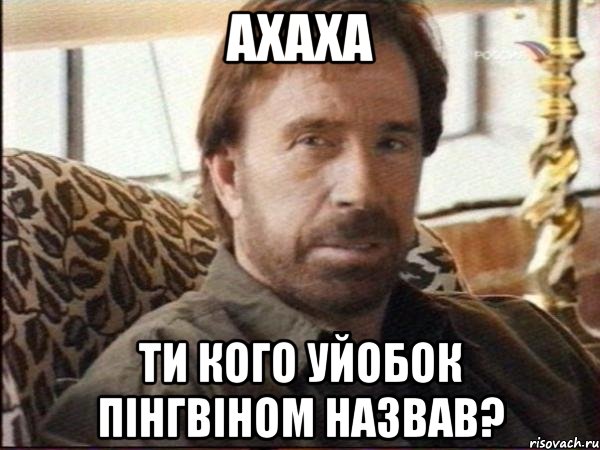 ахаха ти кого уйобок пінгвіном назвав?, Мем чак норрис
