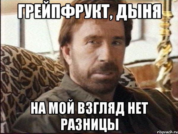 грейпфрукт, дыня на мой взгляд нет разницы, Мем чак норрис