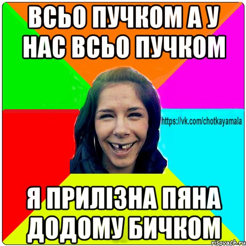 всьо пучком а у нас всьо пучком я прилізна пяна додому бичком, Мем Чотка мала