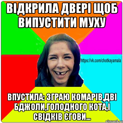 Відкрила двері щоб випустити муху Впустила: зграю комарів,дві бджоли,голодного кота,і Свідків Єгови..., Мем Чотка мала