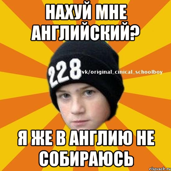 нахуй мне английский? я же в англию не собираюсь, Мем  Циничный школьник