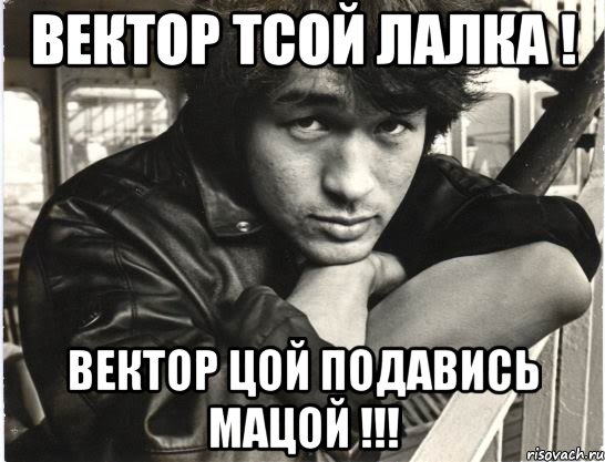 ВЕКТОР ТСОЙ ЛАЛКА ! ВЕКТОР ЦОЙ ПОДАВИСЬ МАЦОЙ !!!, Мем цой