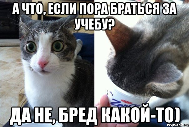 А что, если пора браться за учебу? Да не, бред какой-то), Комикс  Да не бред-какой-то (2 зоны)