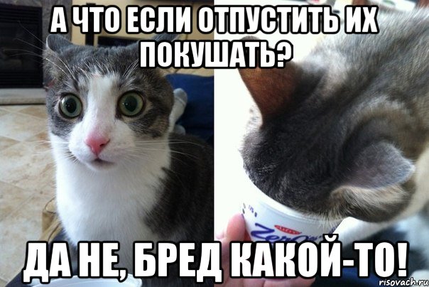 А что если отпустить их покушать? Да не, бред какой-то!, Комикс  Да не бред-какой-то (2 зоны)