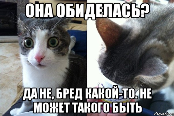 она обиделась? да не, бред какой-то. не может такого быть, Комикс  Да не бред-какой-то (2 зоны)