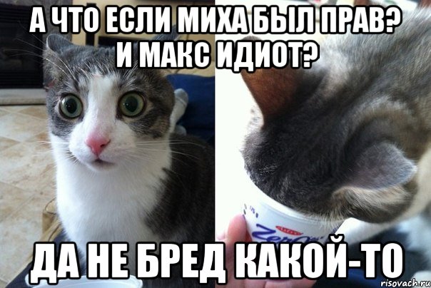 А ЧТО ЕСЛИ МИХА БЫЛ ПРАВ? И МАКС ИДИОТ? ДА НЕ БРЕД КАКОЙ-ТО, Комикс  Да не бред-какой-то (2 зоны)