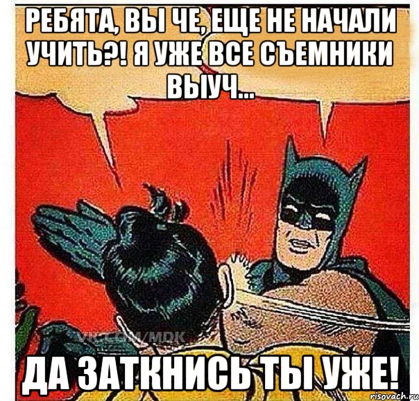 Ребята, вы че, еще не начали учить?! Я уже все съемники выуч... Да заткнись ты уже!, Комикс   Бетмен и Робин