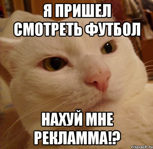 Я пришел смотреть футбол Нахуй мне рекламма!?, Мем Дерзкий котэ