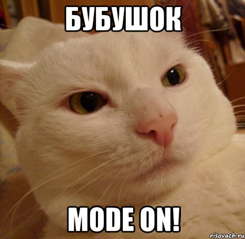 Бубушок mode on!, Мем Дерзкий котэ