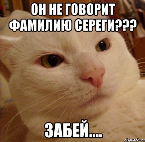 он не говорит фамилию Сереги??? ЗАБЕЙ...., Мем Дерзкий котэ