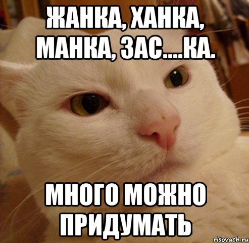 Жанка, ханка, манка, зас....ка. Много можно придумать, Мем Дерзкий котэ