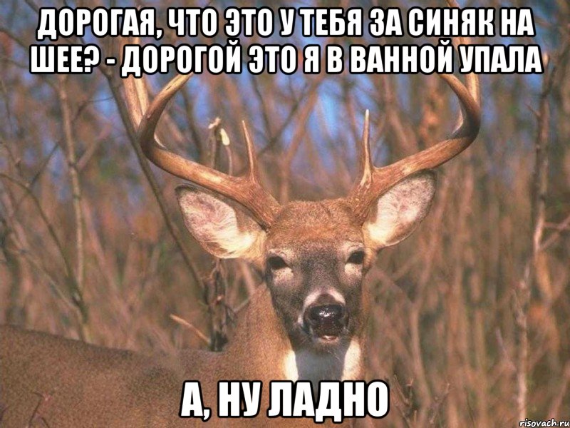 Дорогая, что это у тебя за синяк на шее? - Дорогой это я в ванной упала А, ну ладно, Мем  для паблика Типичный Олень