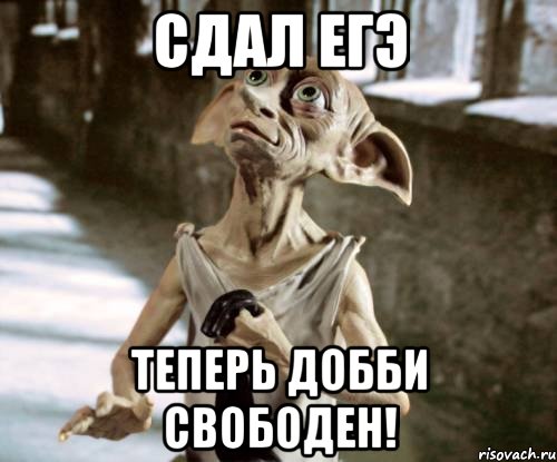 Сдал ЕГЭ Теперь Добби свободен!