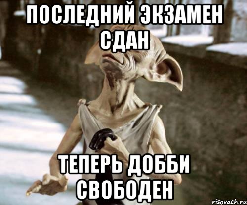 последний экзамен сдан теперь добби свободен