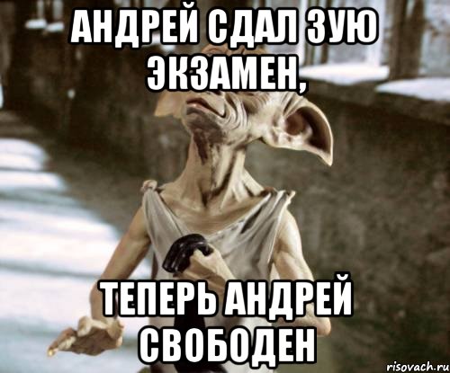 Андрей сдал Зую экзамен, теперь Андрей свободен