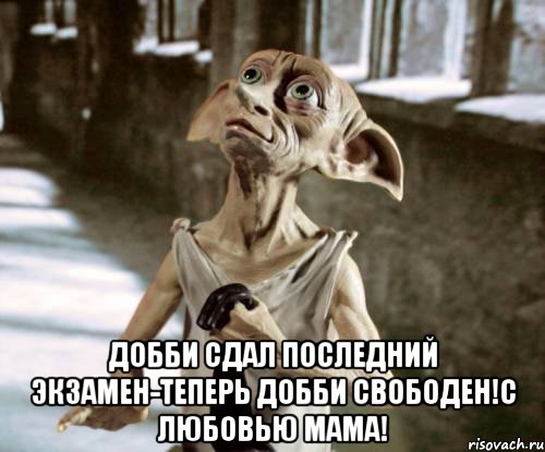  ДОББИ СДАЛ ПОСЛЕДНИЙ ЭКЗАМЕН-ТЕПЕРЬ ДОББИ СВОБОДЕН!С ЛЮБОВЬЮ МАМА!