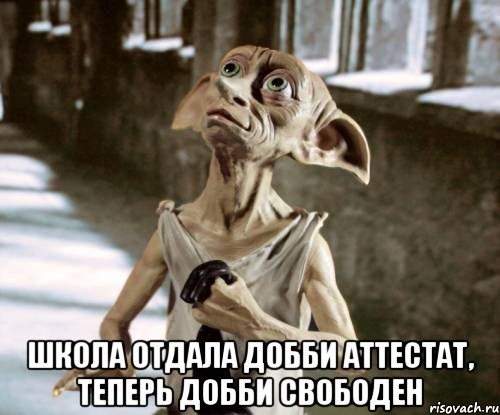  Школа отдала Добби аттестат, теперь Добби свободен