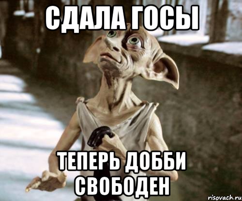 сдала госы теперь добби свободен