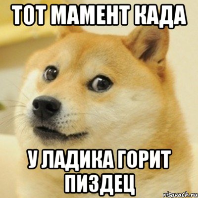 тот мамент када у ладика горит пиздец, Мем doge woof