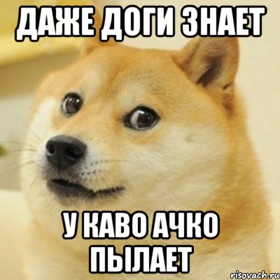 даже доги знает у каво ачко пылает, Мем doge woof