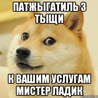 патжыгатиль 3 тыщи к вашим услугам мистер ладик, Мем doge woof