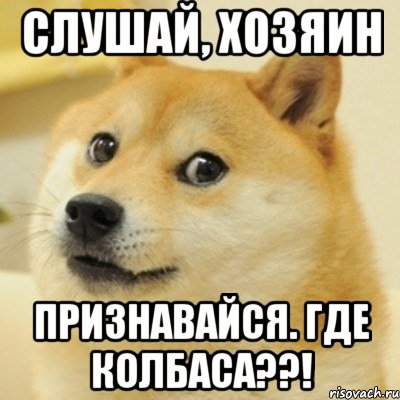 СЛУШАЙ, ХОЗЯИН ПРИЗНАВАЙСЯ. ГДЕ КОЛБАСА??!, Мем doge woof